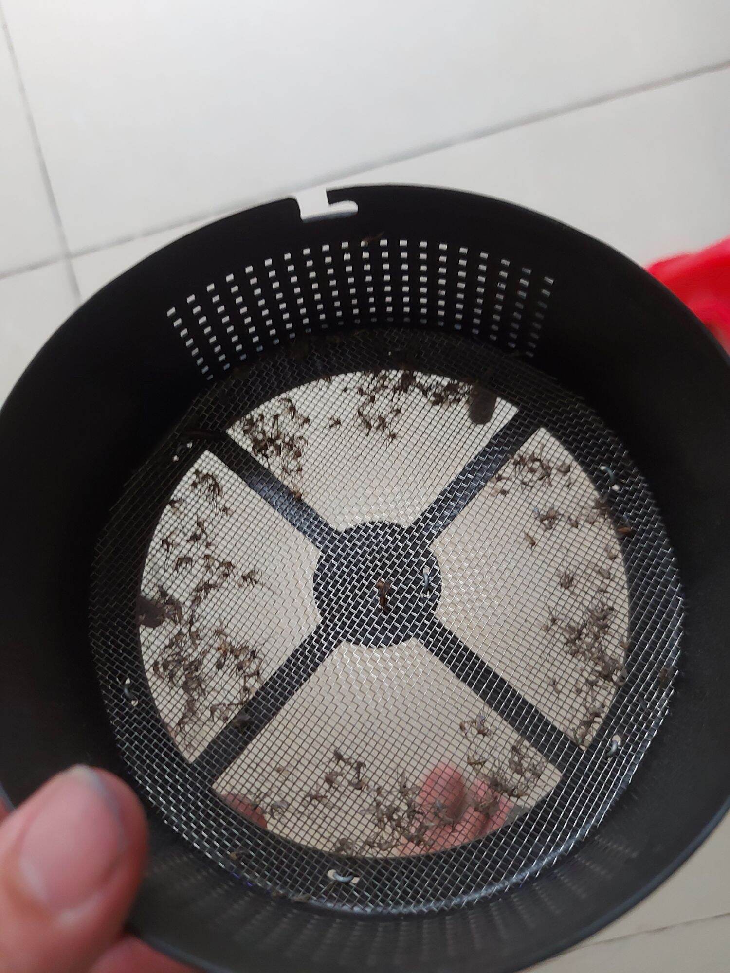 Đèn bắt muỗi Huba - 2 năm bảo hành - đọc kĩ mô tả