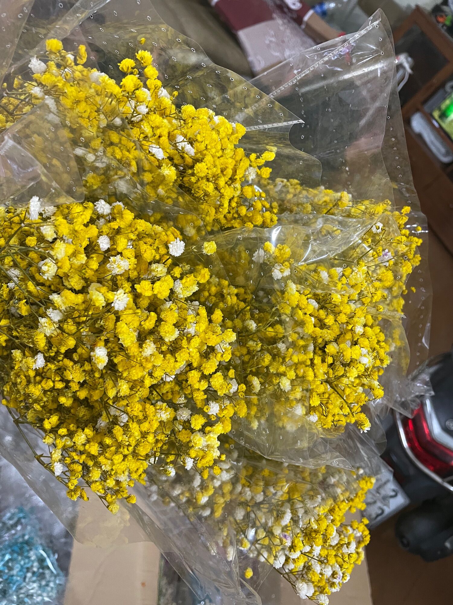[HCM]Hoa Baby khô bó 100g