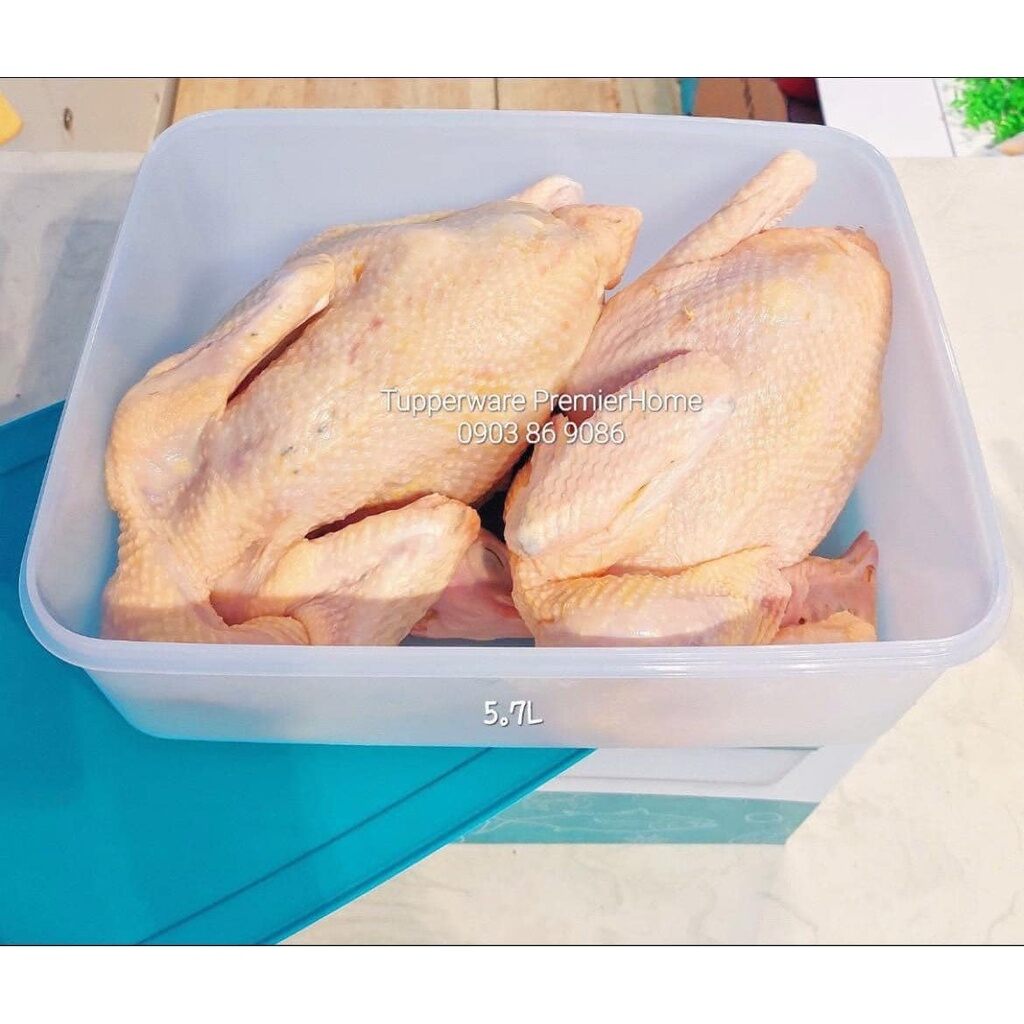 Hộp đựng thực phẩm Tết - Hộp Trữ Đông Freezermate 5.6L - Đựng được cả con gà to - Nhựa nguyên sinh an toàn
