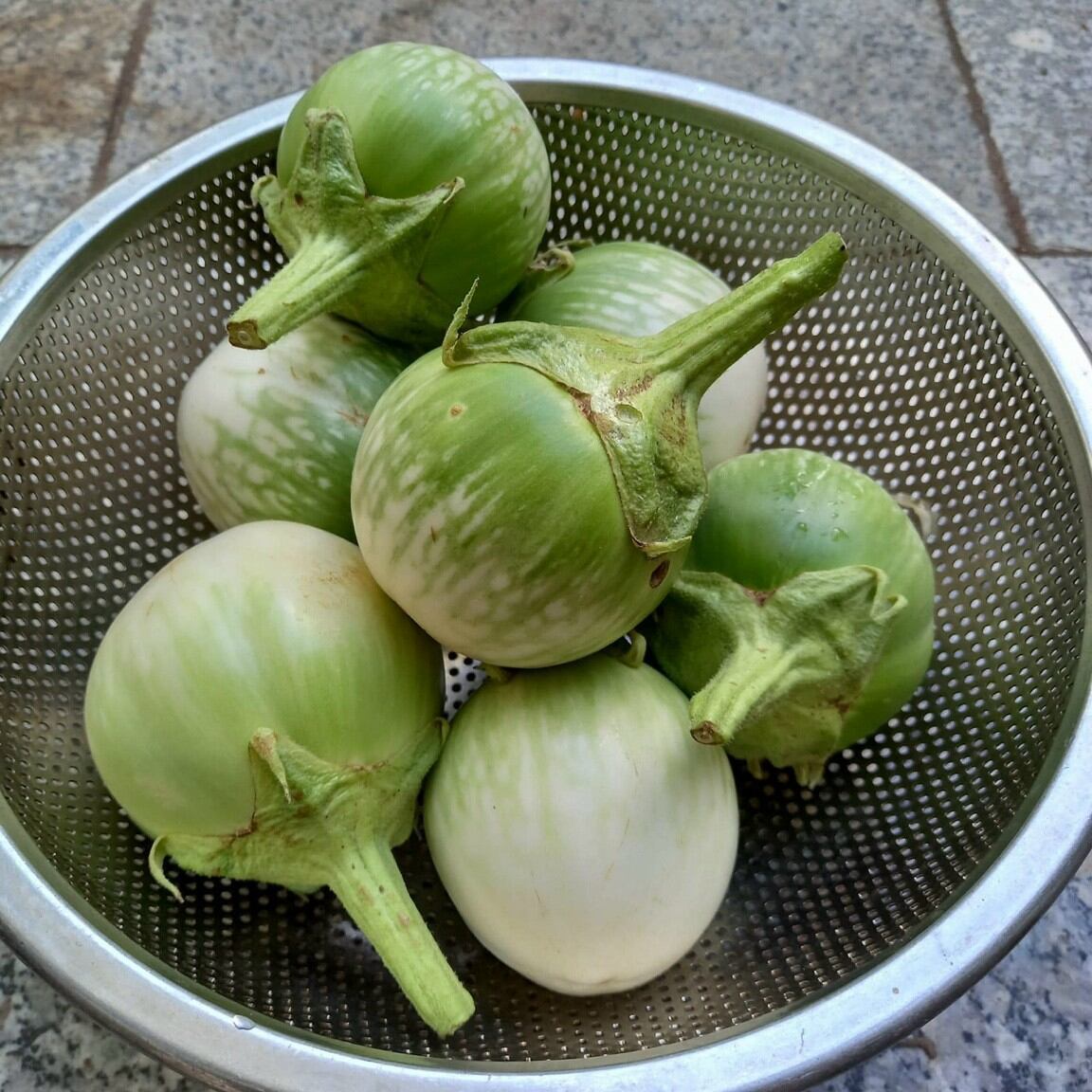mắm ruột chưa kho_ mắm ruột kho thịt