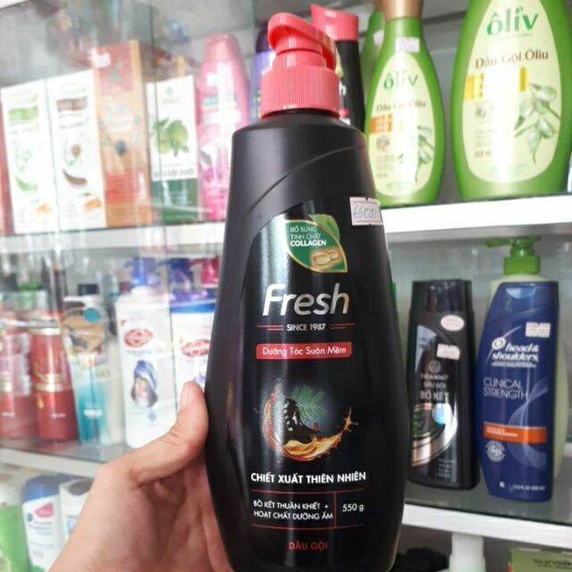 [HCM]DẦU GỘI SUÔN MƯỢT"FRESH BỒ KẾT"550GR!