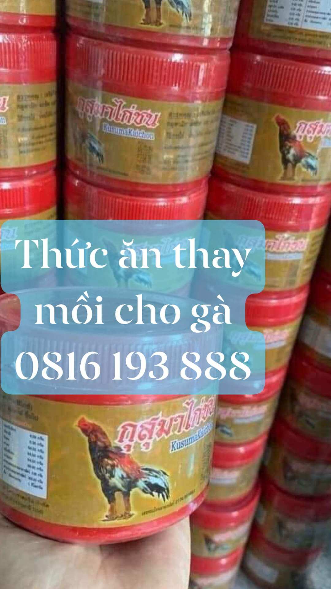 Thức ăn thay thế mồi tươi cho gà đá kusuma kaichon