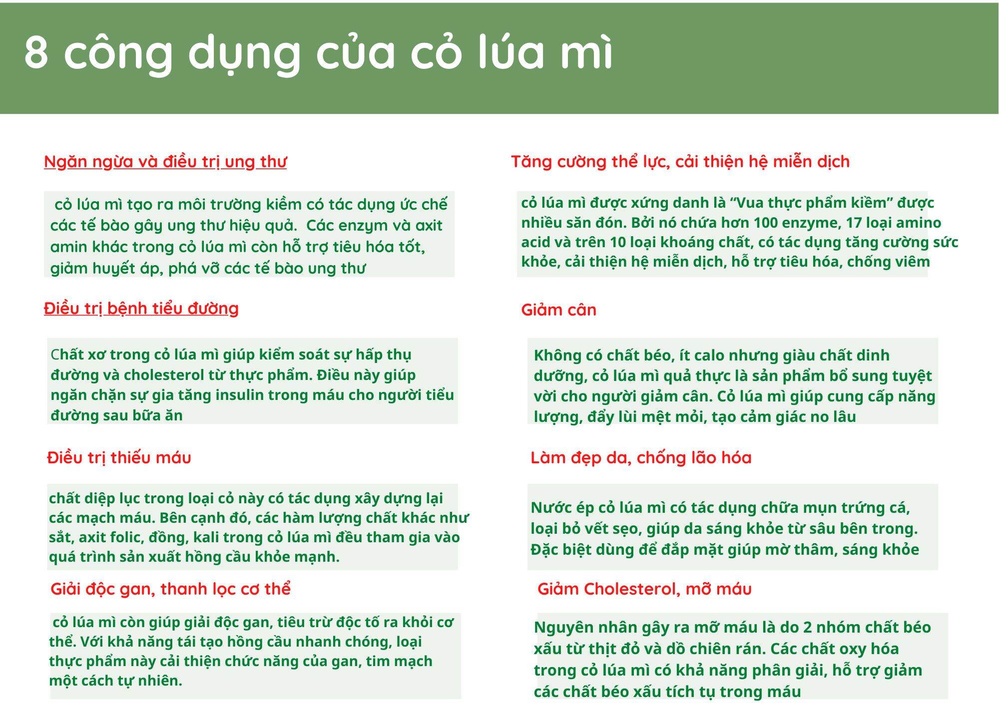 1KG Hạt giống CỎ LÚA MÌ Khải Minh Organic