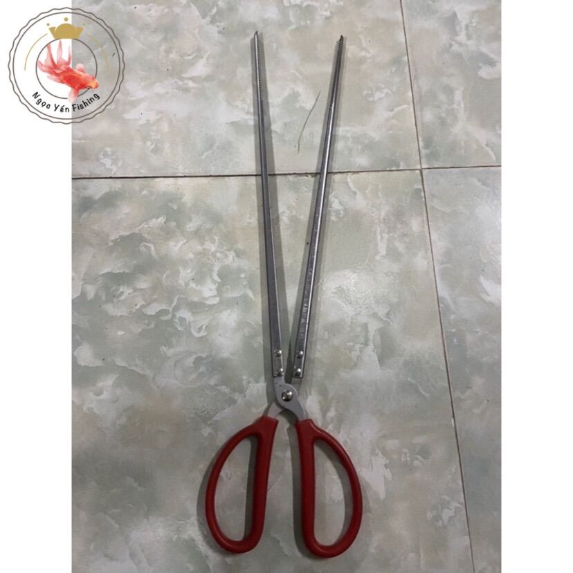 Dụng Cụ Kẹp Lươn - Kéo Kẹp Lươn