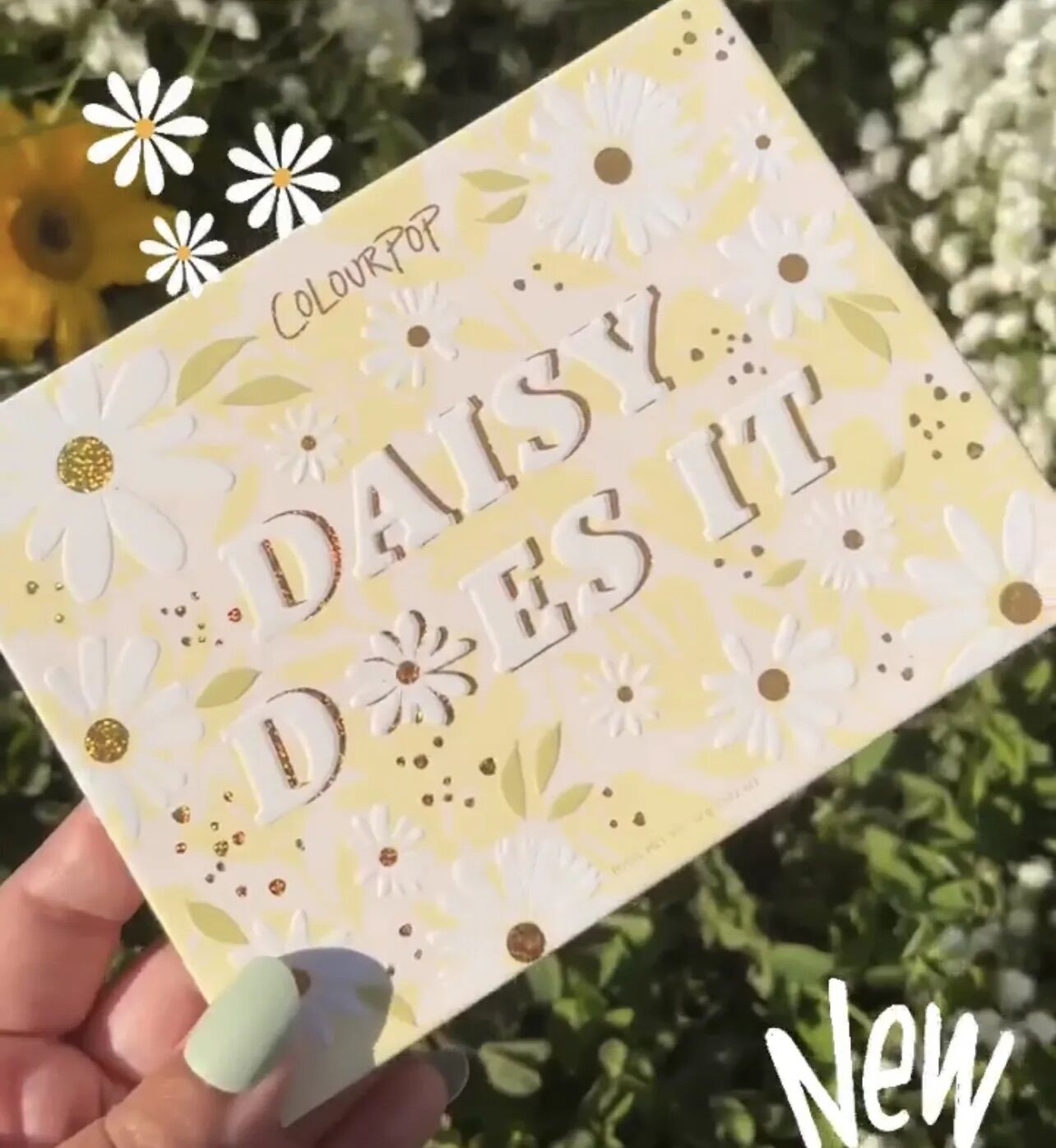 Bảng phấn mắt Colourpop Daisy does it eyeshadow palette siêu xinh và dễ dùng colorpop eyeshadow