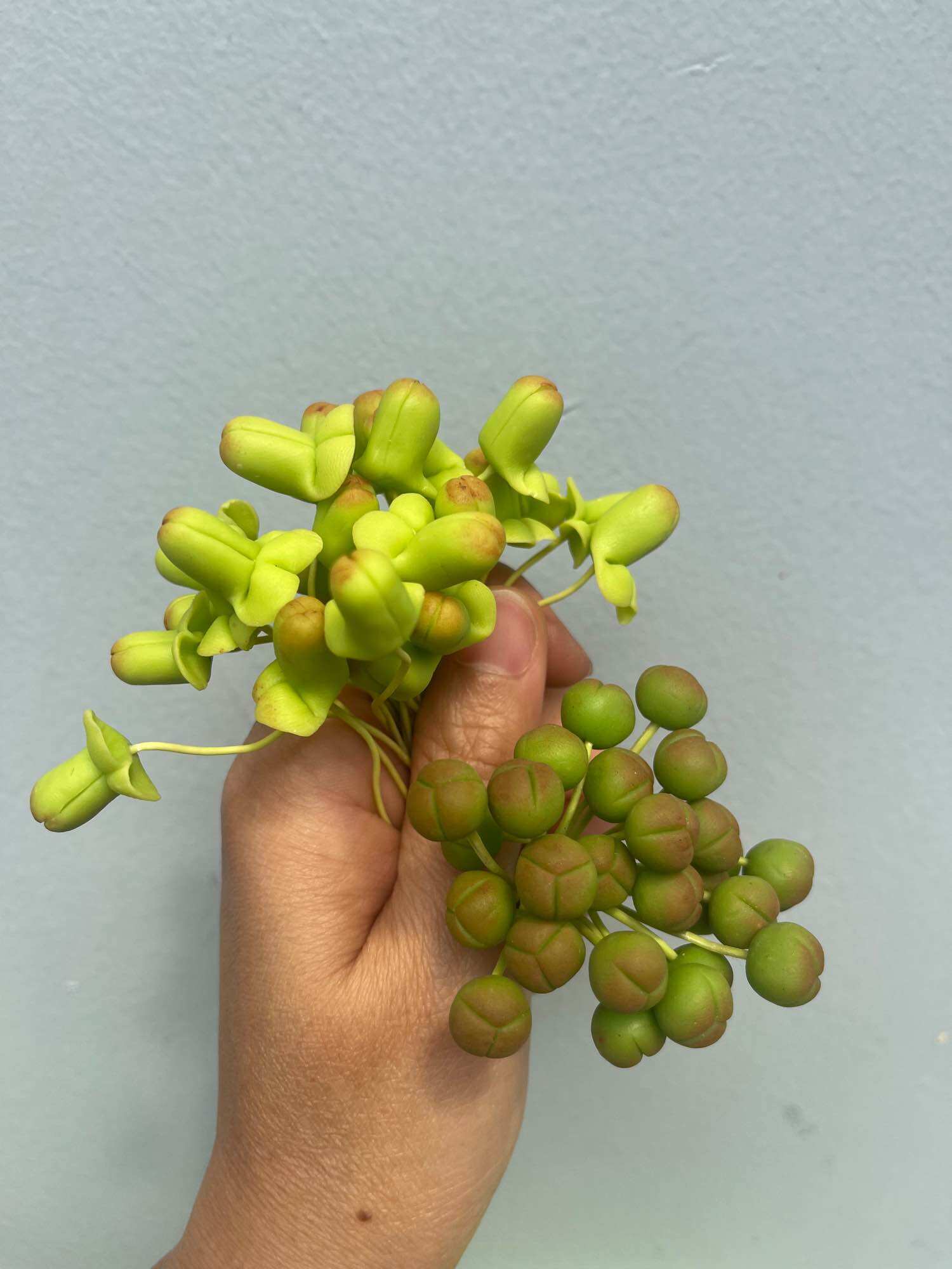 Nụ hoa lan 1 bó 25 cái