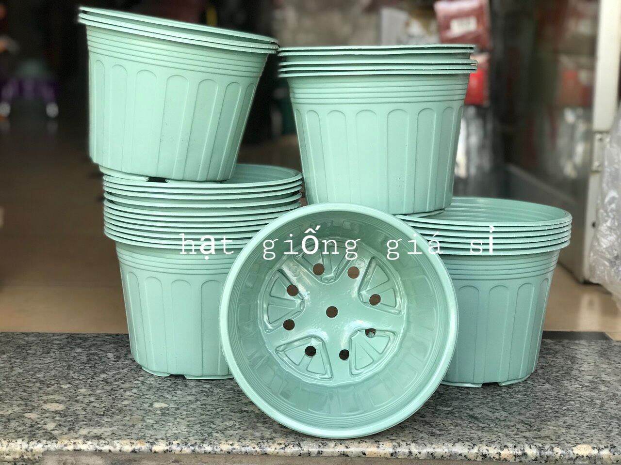 Combo 30 chậu nhựa trồng cây đường kính 20cm trồng hoa vạn thọ tết