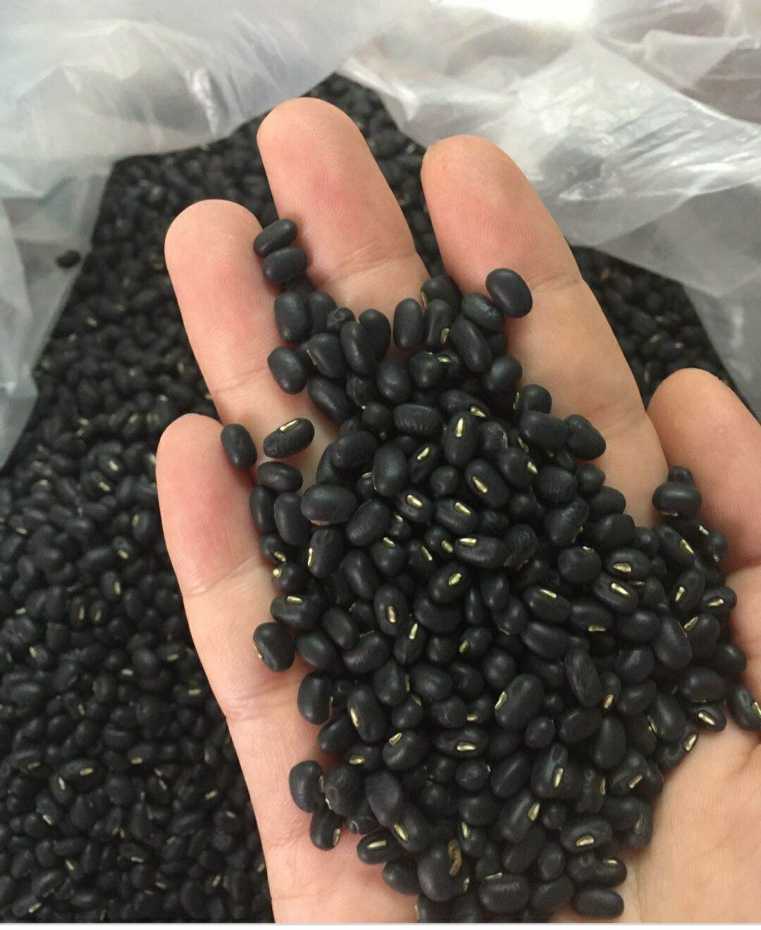 Đậu đen xanh lòng 1kg
