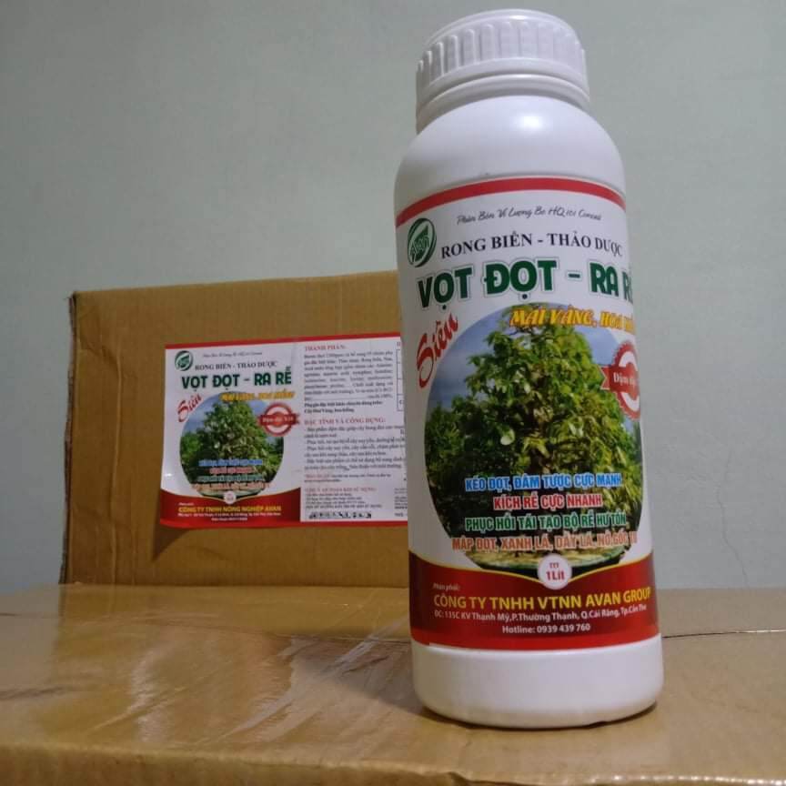 PHÂN BÓN DƯỠNG CÂY KIỂNG , MAI VÀNG. BUNG ĐỌT RA RỄ