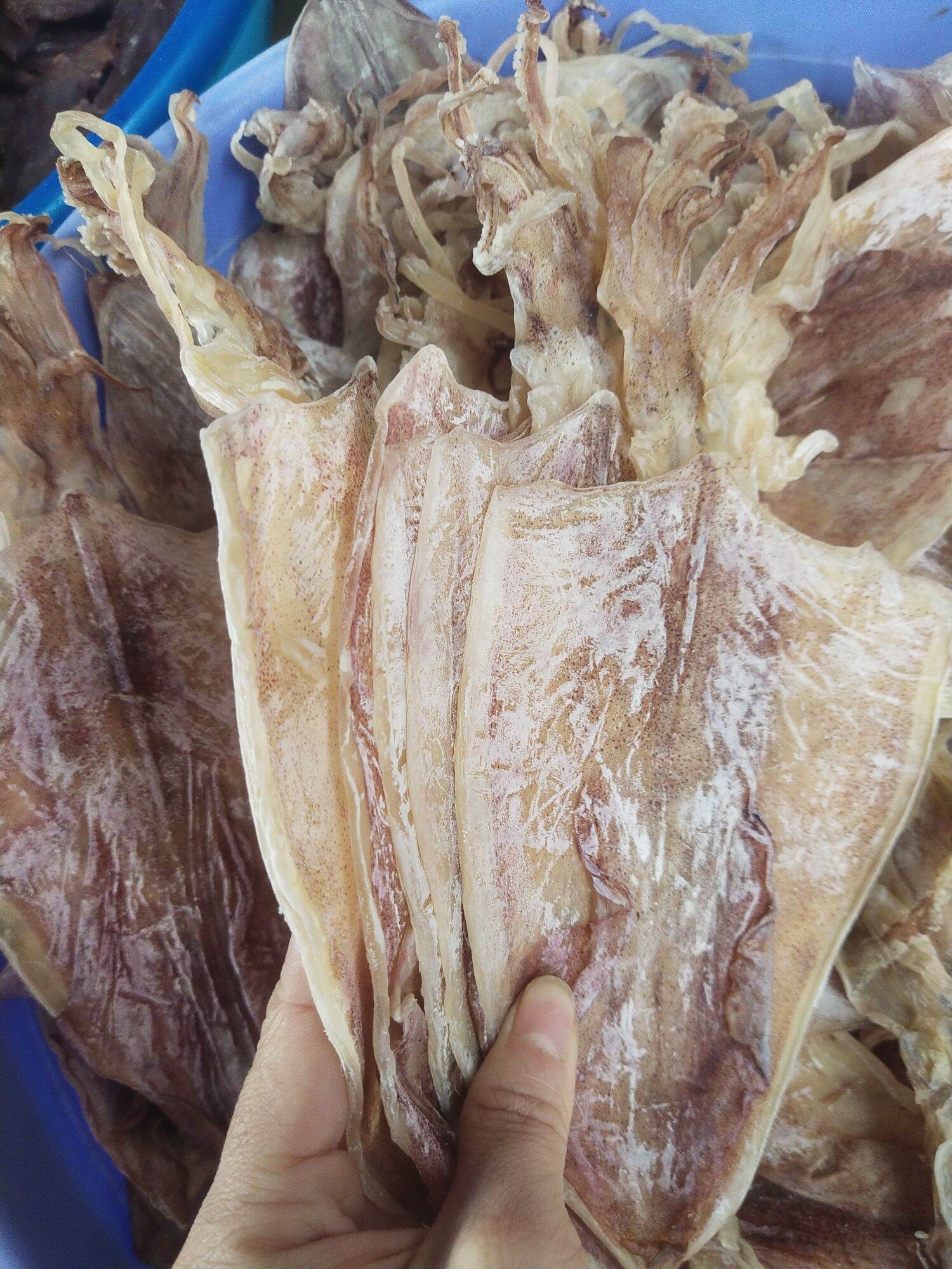 Mực khô câu 12-14con/kg [hàng loại 1 ngon ngọt] GHPY H006