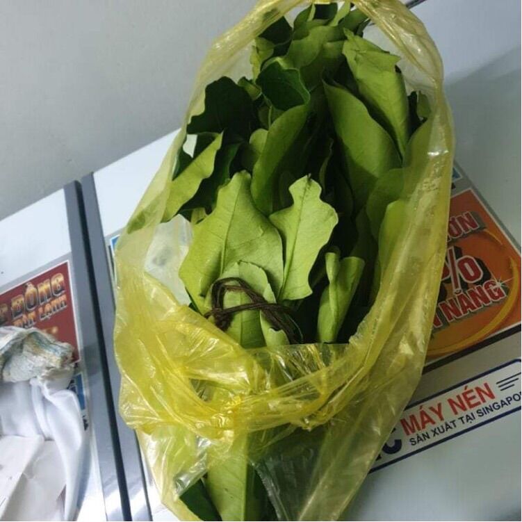 1kg lá bưởi tươi
