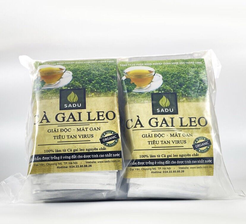 Combo 10 gói cà gai leo sadu 600gr