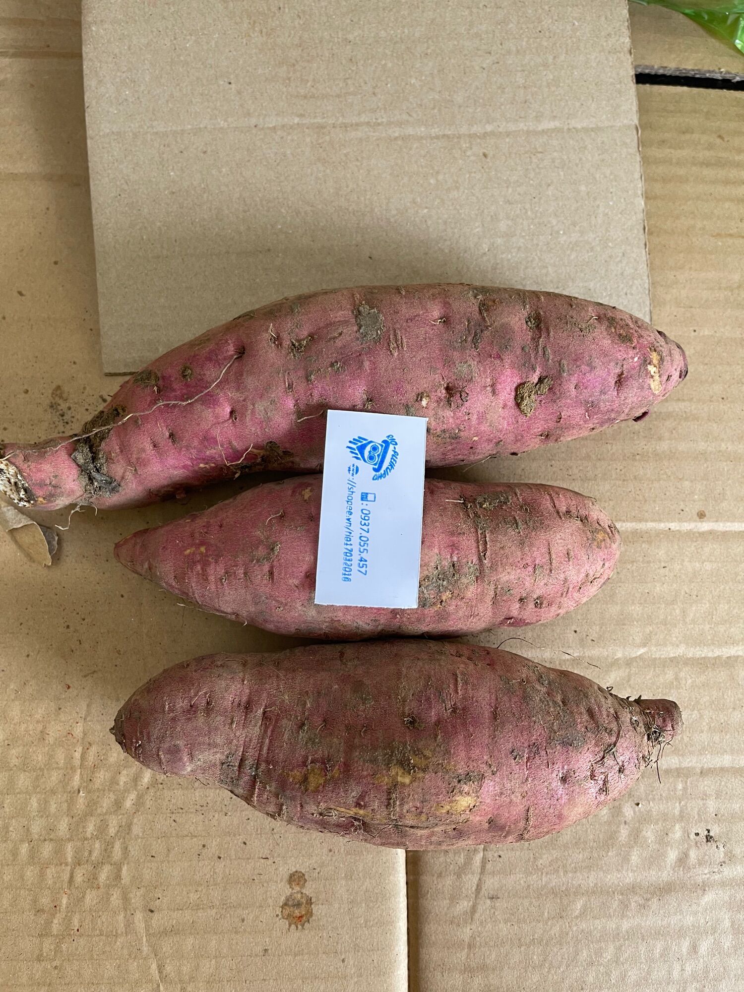 1kg khoai lang củ Lệ cần Gialai