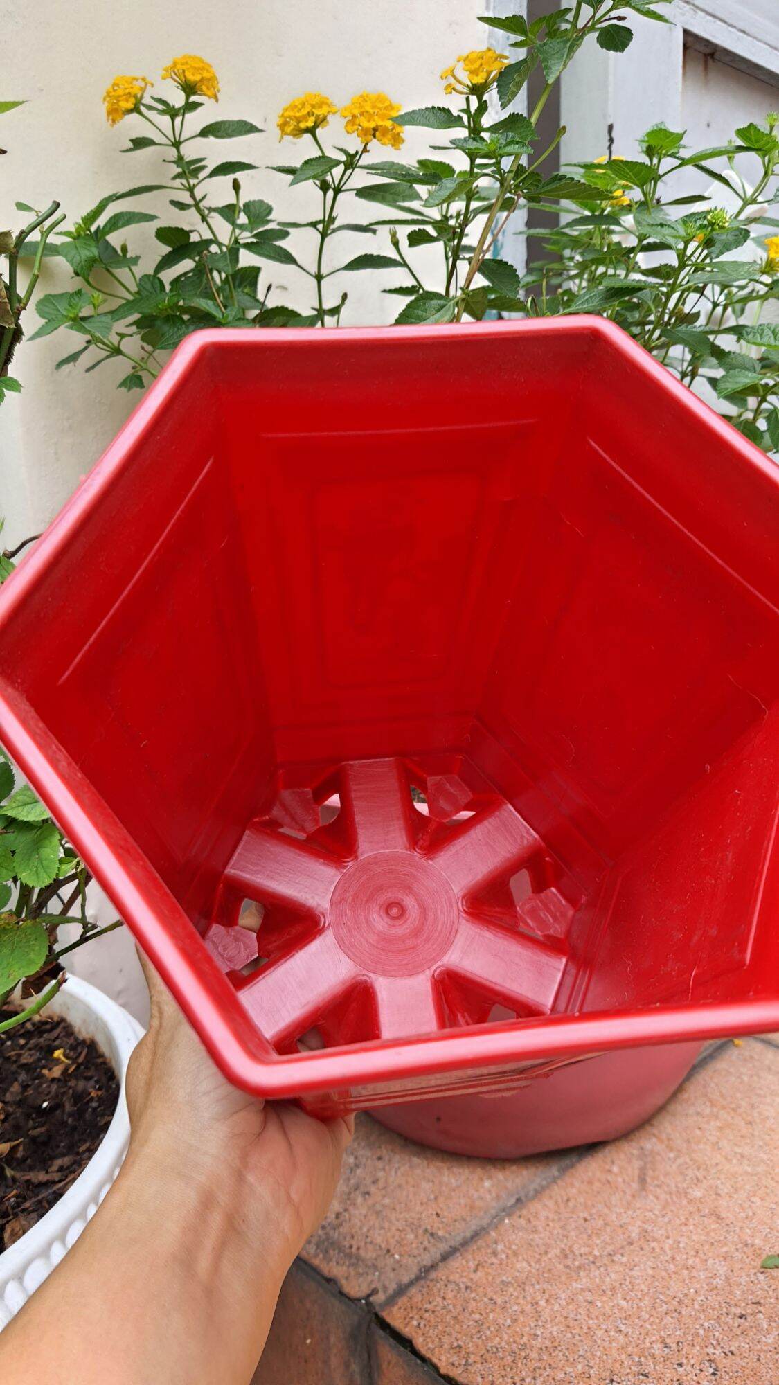 chậu lục giác in lụa chân cao size nhỏ 17x20cm