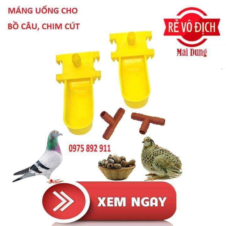 máng uống cho chim cút , bồ câu