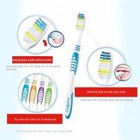 Colgate | Bộ Bàn Chải Đánh Răng Colgate Fine Soft Medium Hair 6 Chiếc, Bộ Du Lịch Gia Đình Dành Cho Nam Và Nữ, Bàn Chải Đánh Răng Bằng Tay Cho Người Lớn