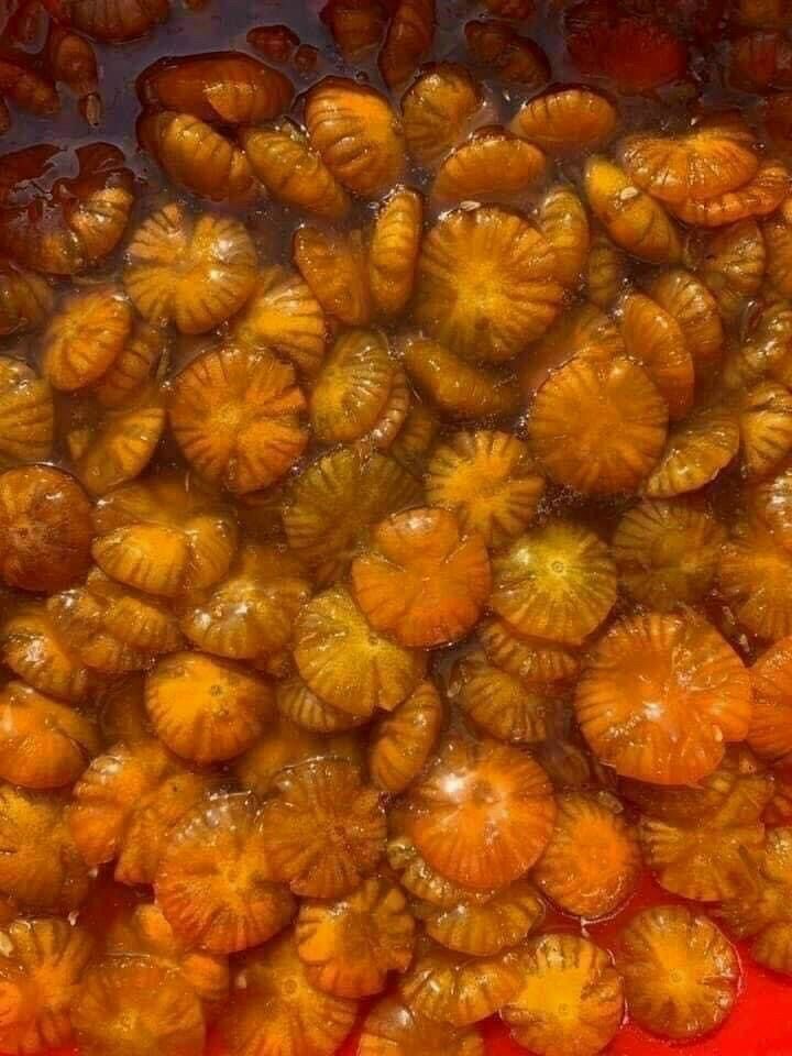 TẮC XÍ MUỘI HOA ĐƯỜNG PHÈN