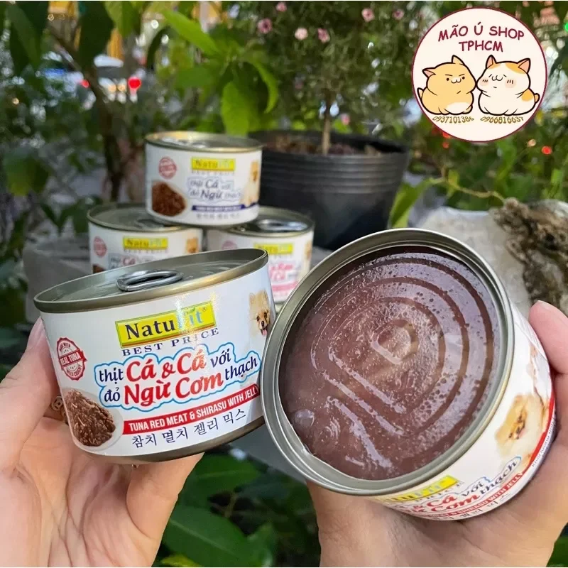 [COMBO 12 - 48 LON 160G] PATE NATUFIT CHO CẢ CHÓ VÀ MÈO