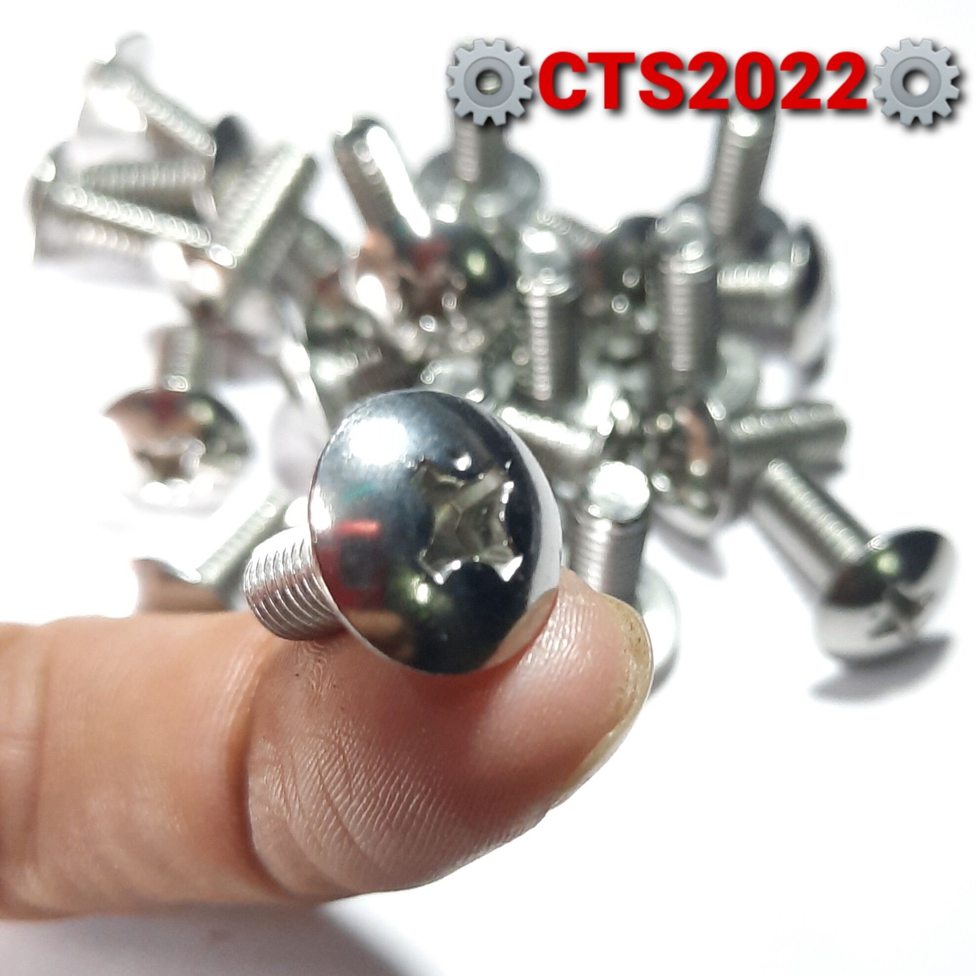 Bulông dù m6 inox 304 đầu vít