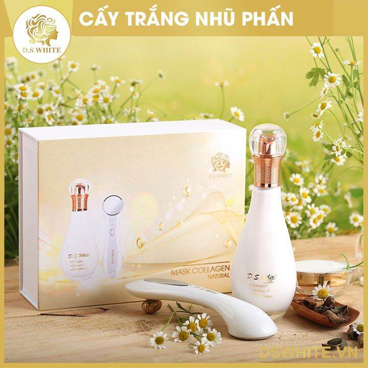 Cấy trắng nhũ phấn ds white