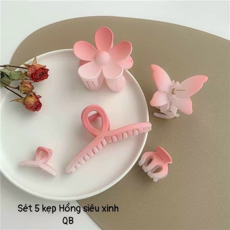 Sét 5 chiếc kẹp tóc màu hồng