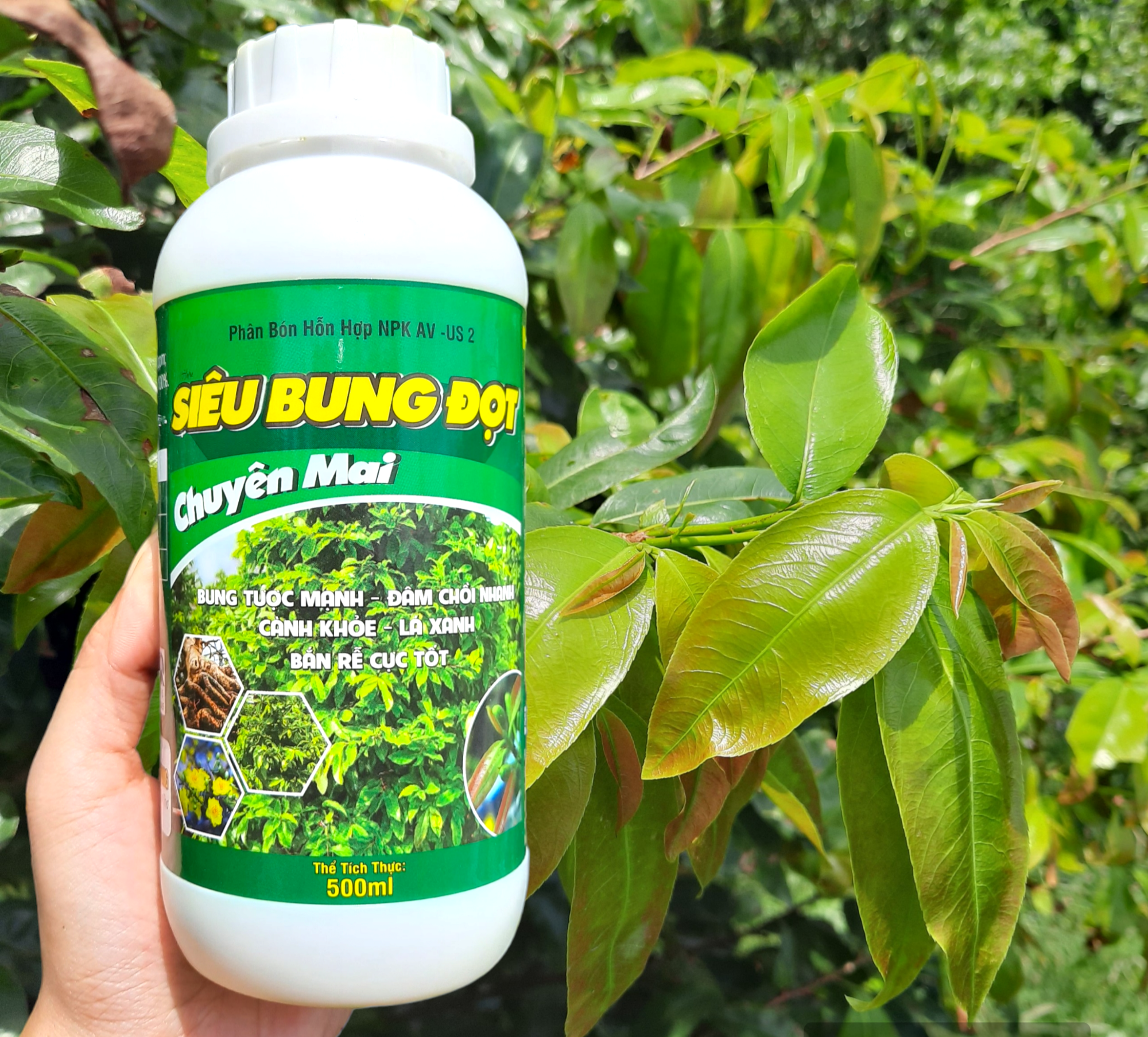 Phân bón siêu bung đọt kích dưỡng đọt non, dày lá, phát triển rễ chai 500ml thế hệ mới
