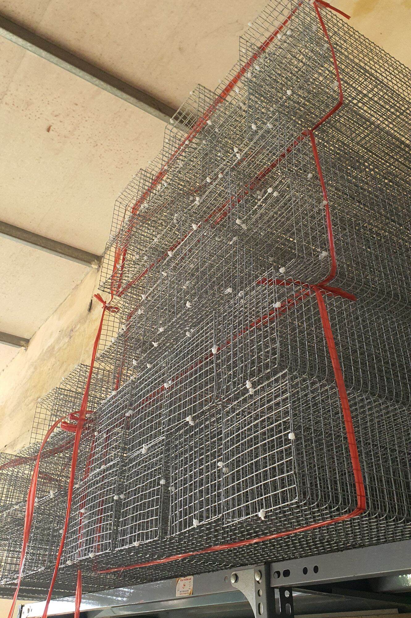Lồng bẫy rắn