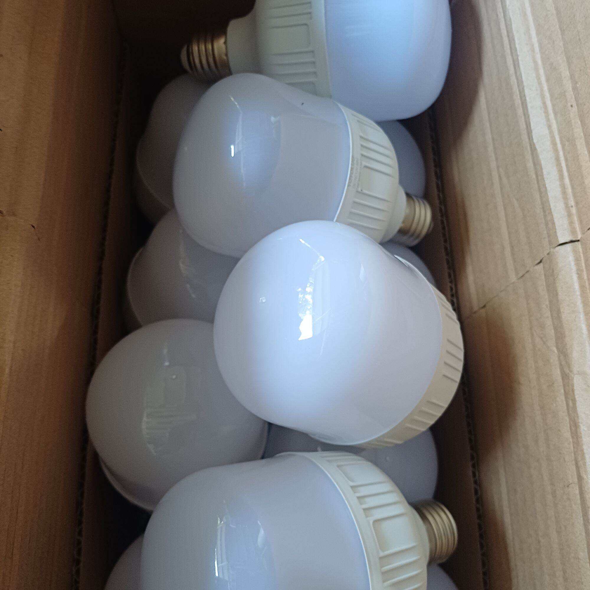 bóng đèn 24v ánh sáng trắng 24w