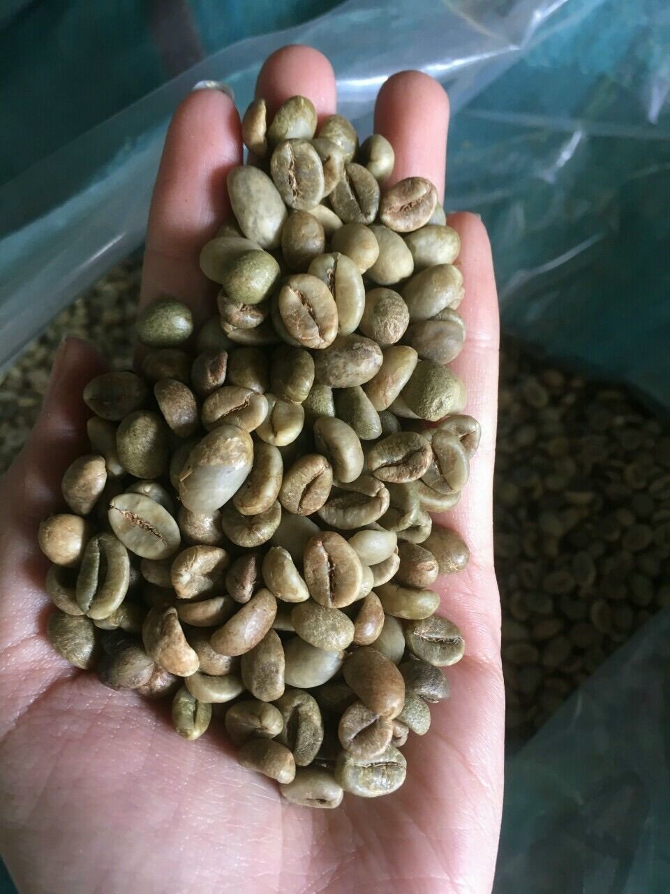 500g_Culi+Robusta