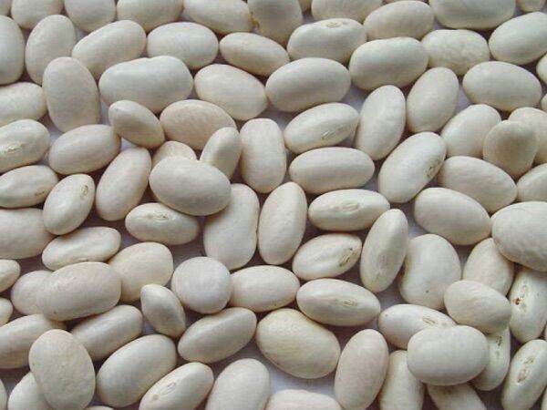 1kg đậu trắng đà lạt