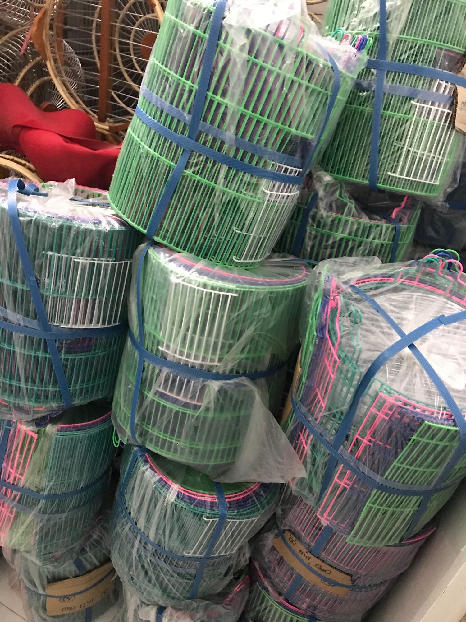 Combo 10 lồng chim hút mật, chim sâu