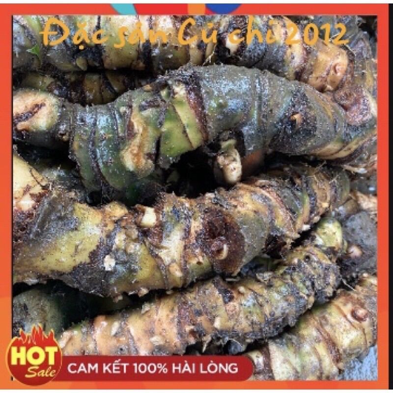 Củ rau móp tươi đào từ sông
