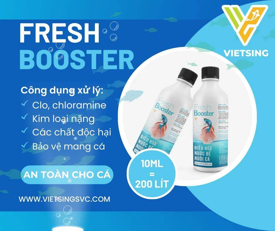 Fresh Booster : Xử Lý Nước , Giúp Cá Giảm Stress