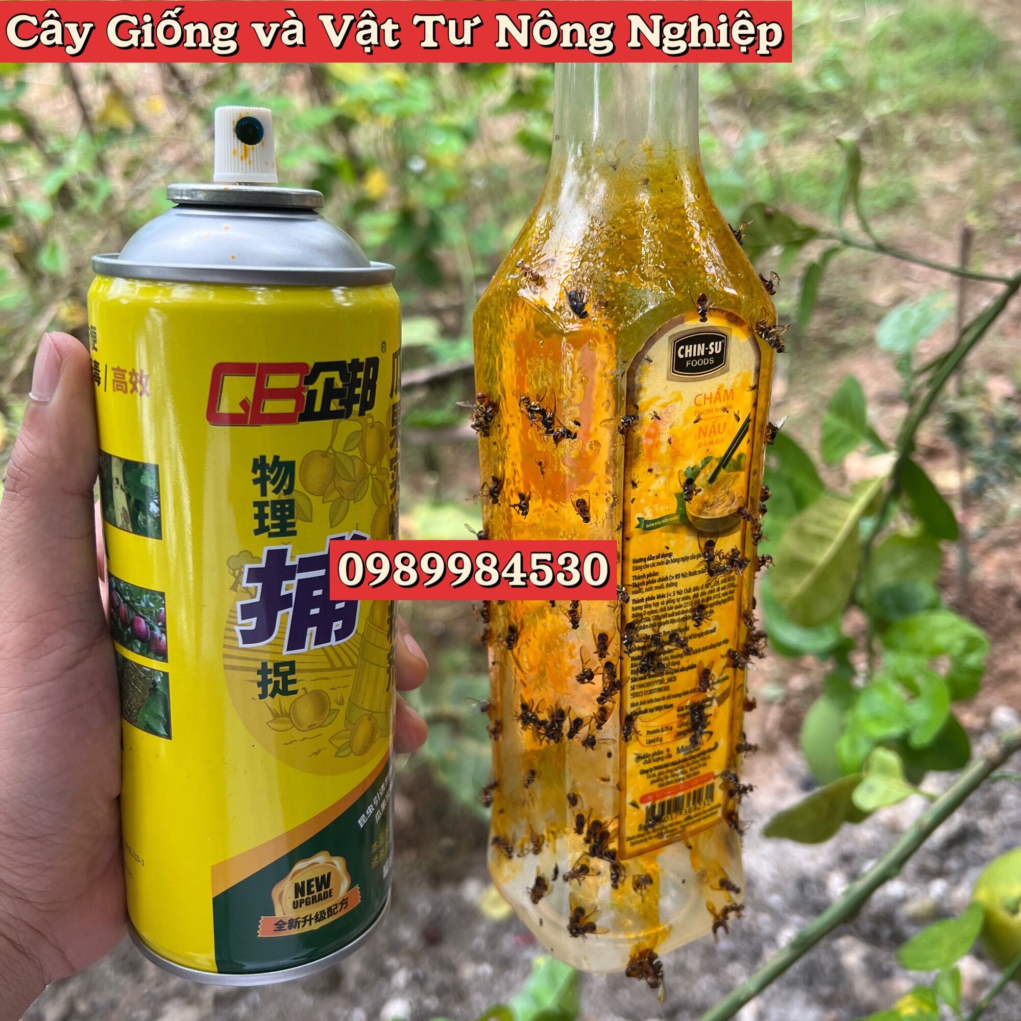 Chai Keo Xịt Bẫy Ruồi Vàng, Côn Trùng Hiệu Qủa Cao Loại 1( Chai 450ml )