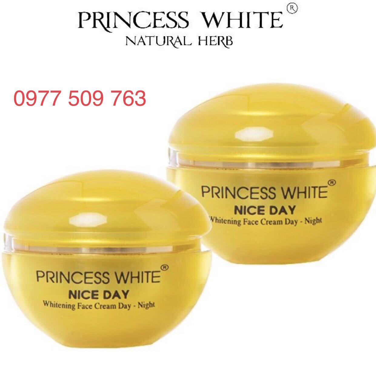 [Hcm]2 Hộp Kem Nice Day Dưỡng Trắng Da - Giữ Ẩm - Se Khít Chân Lông 22Gr - Princess White