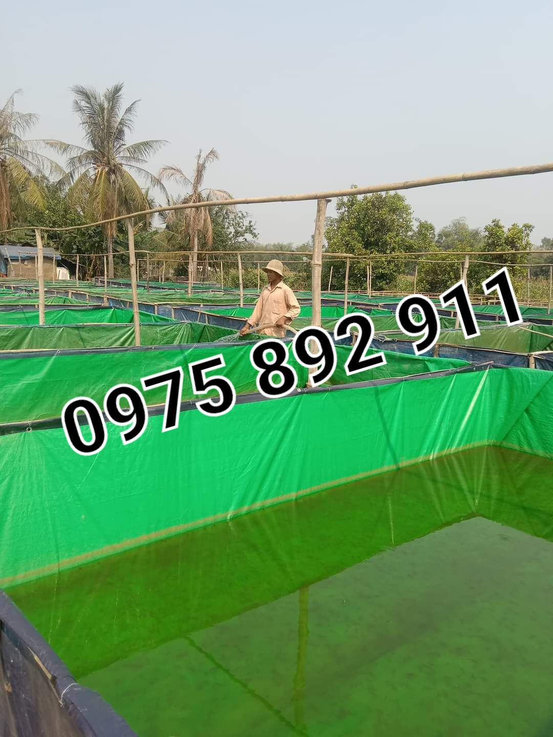 Bể bạt nuôi ốc ếch cá lươn 8x4x1 xanh bộ đội