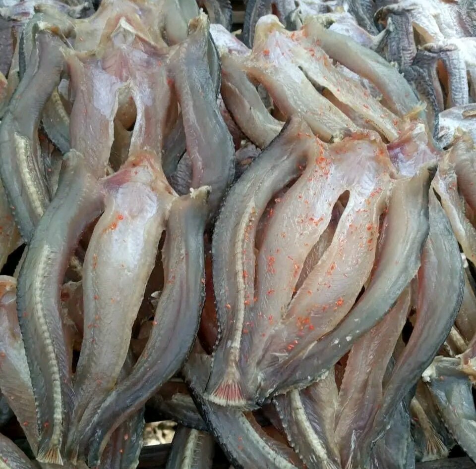 KHÔ CÁ LÓC 500gr