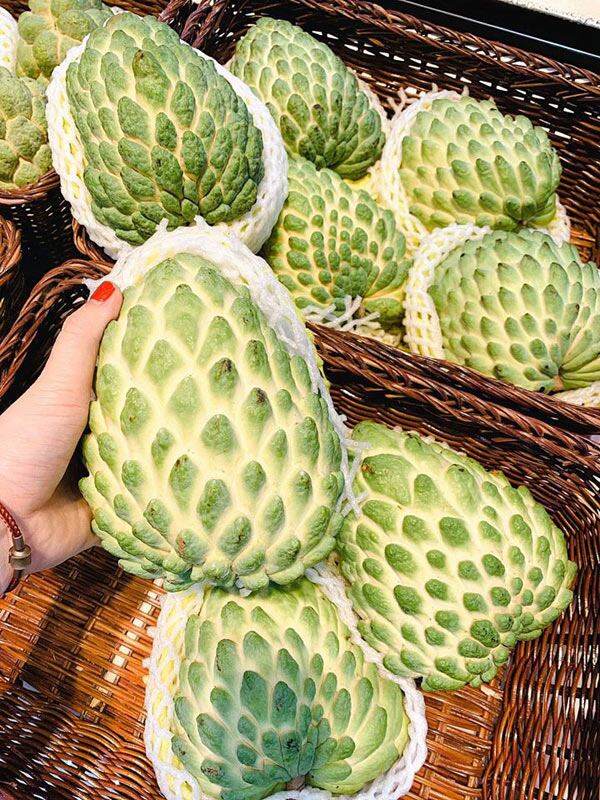 Cây giống Na Sầu Riêng