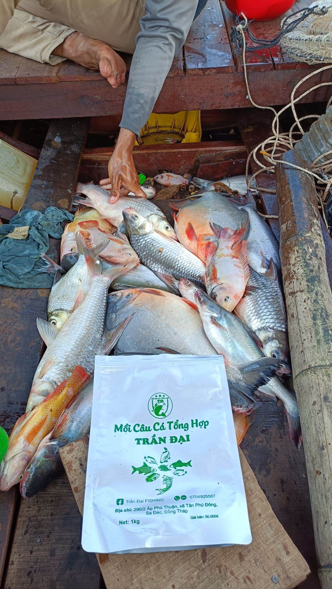 Mồi Câu Cá Tổng Hợp Trần Đại