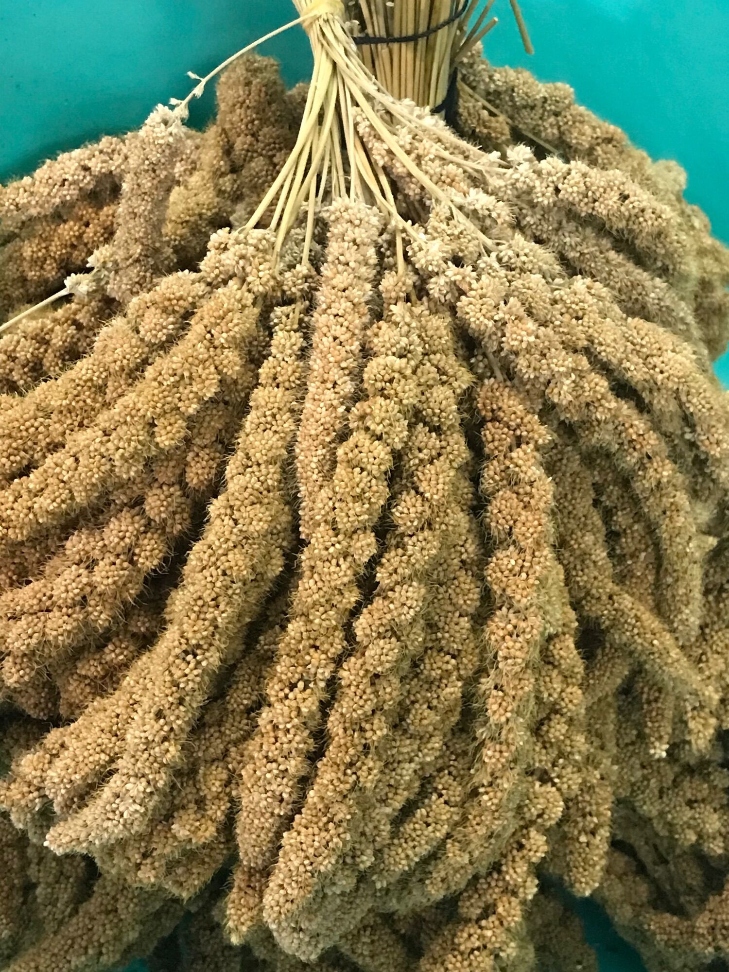 Kê chùm( Gói 1Kg)