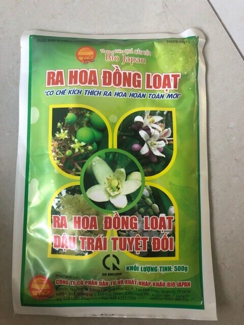 500gr ra hoa đồng loạt của quả cầu lửa