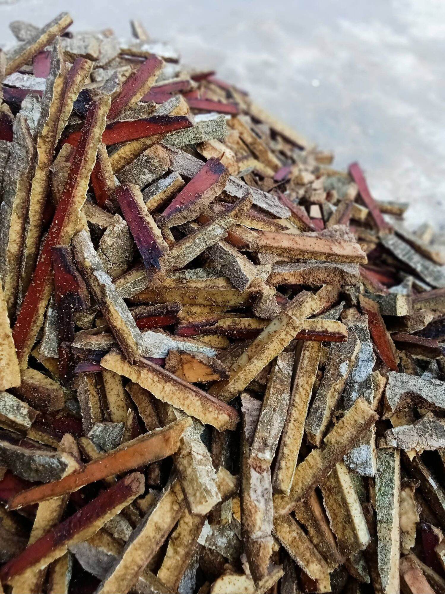 1kg Vỏ Cây Rụt Đỏ Khô Mới lh 0355276899