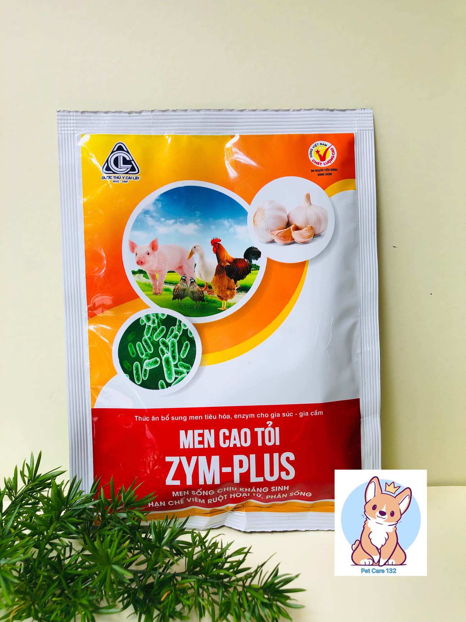 Men cao tỏi Zymplus 100gram, men sống chịu kháng sinh hạn chế viêm ruột trên gà, vịt, heo.
