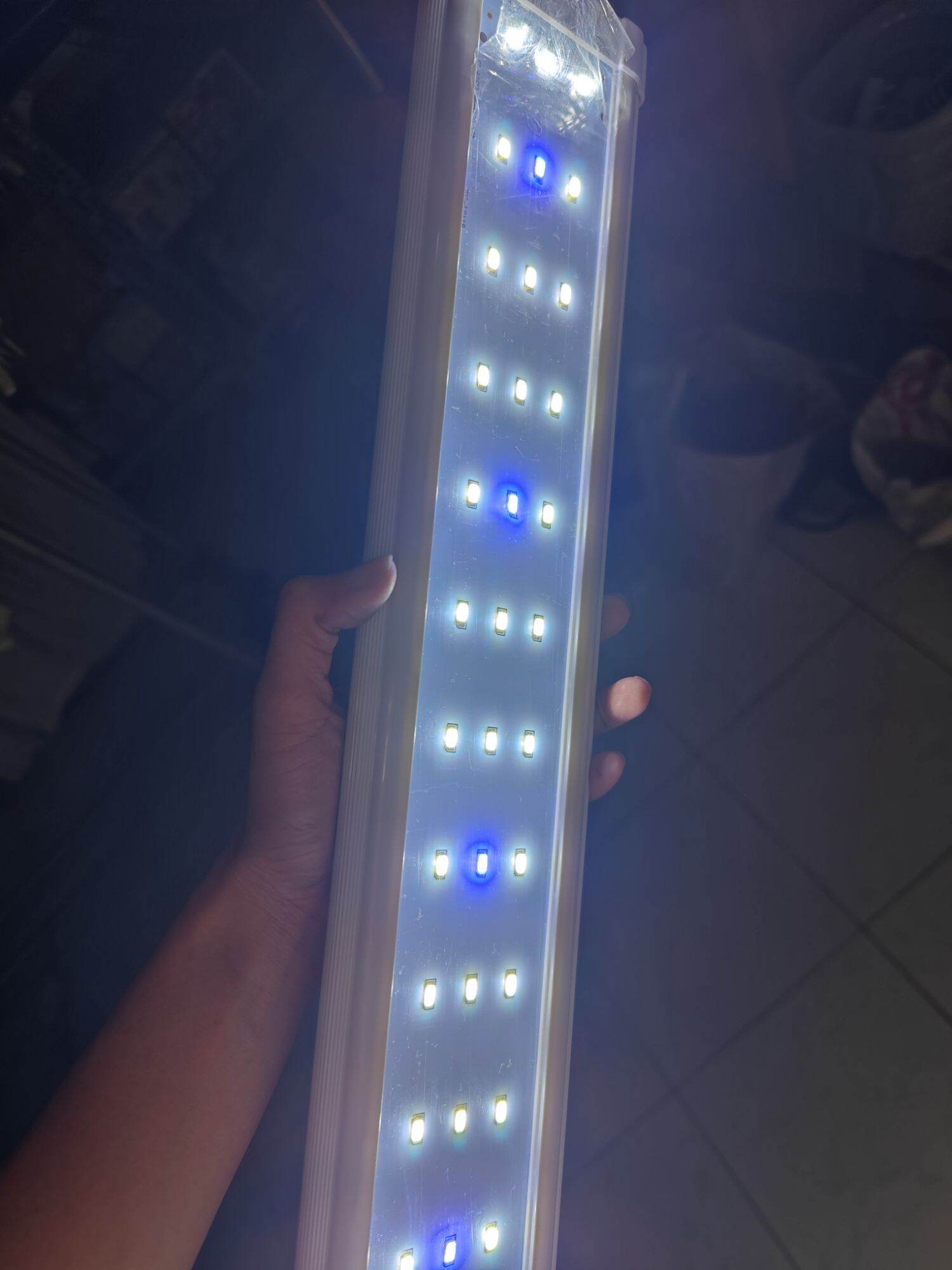 Đèn led máng hồ cá, hồ thủy sinh 50-60cm