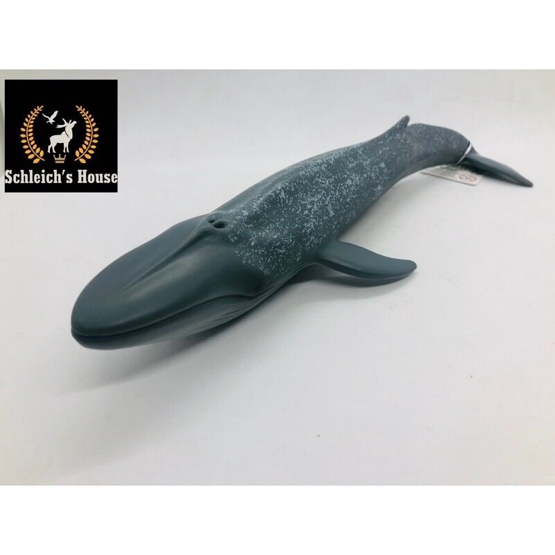 Mô hình động vật , đồ chơi con vật CollectA chính hãng Cá voi xanh 88834 - Schleich House