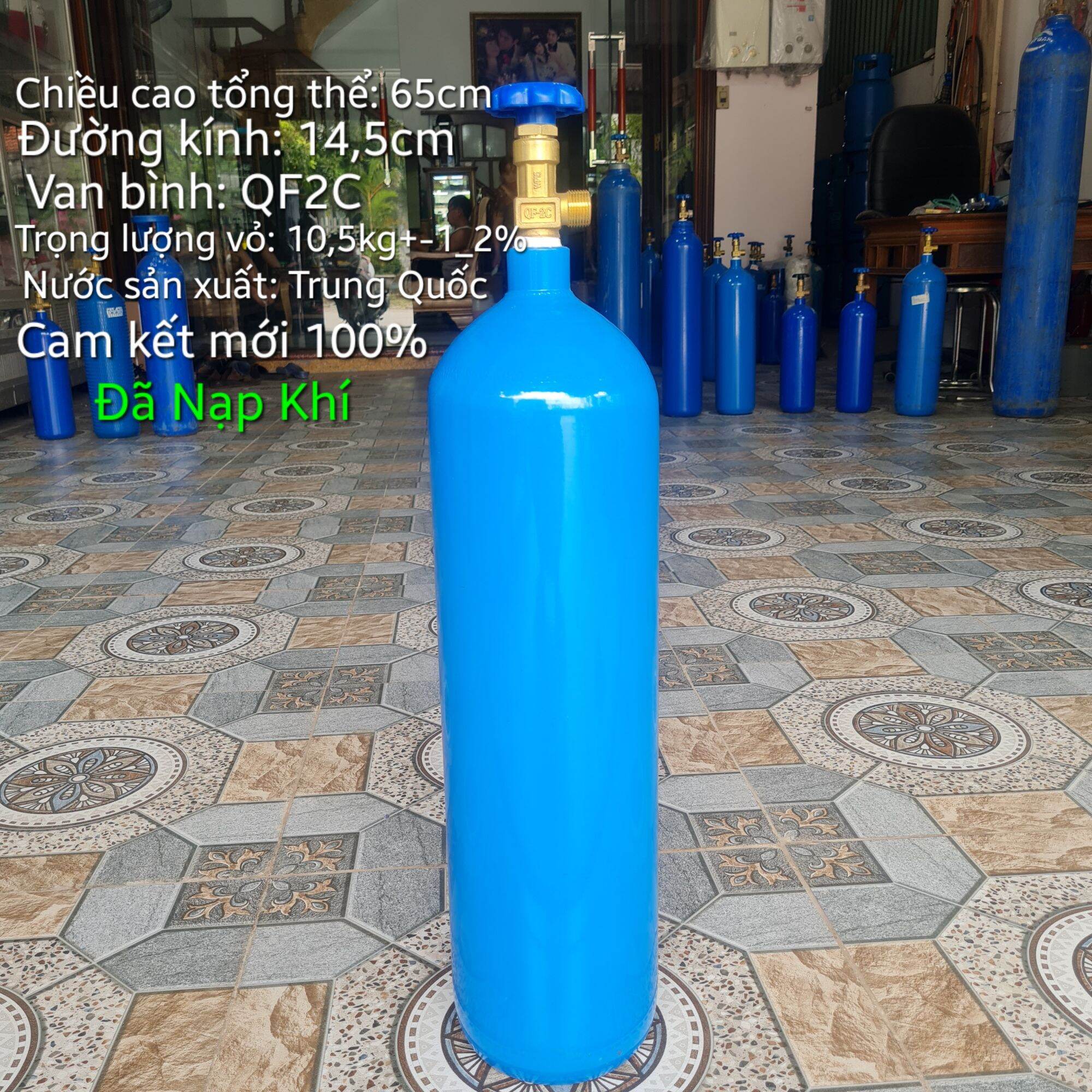 Bộ Bình Oxy Y Tế  9Lít Full Phụ Kiện