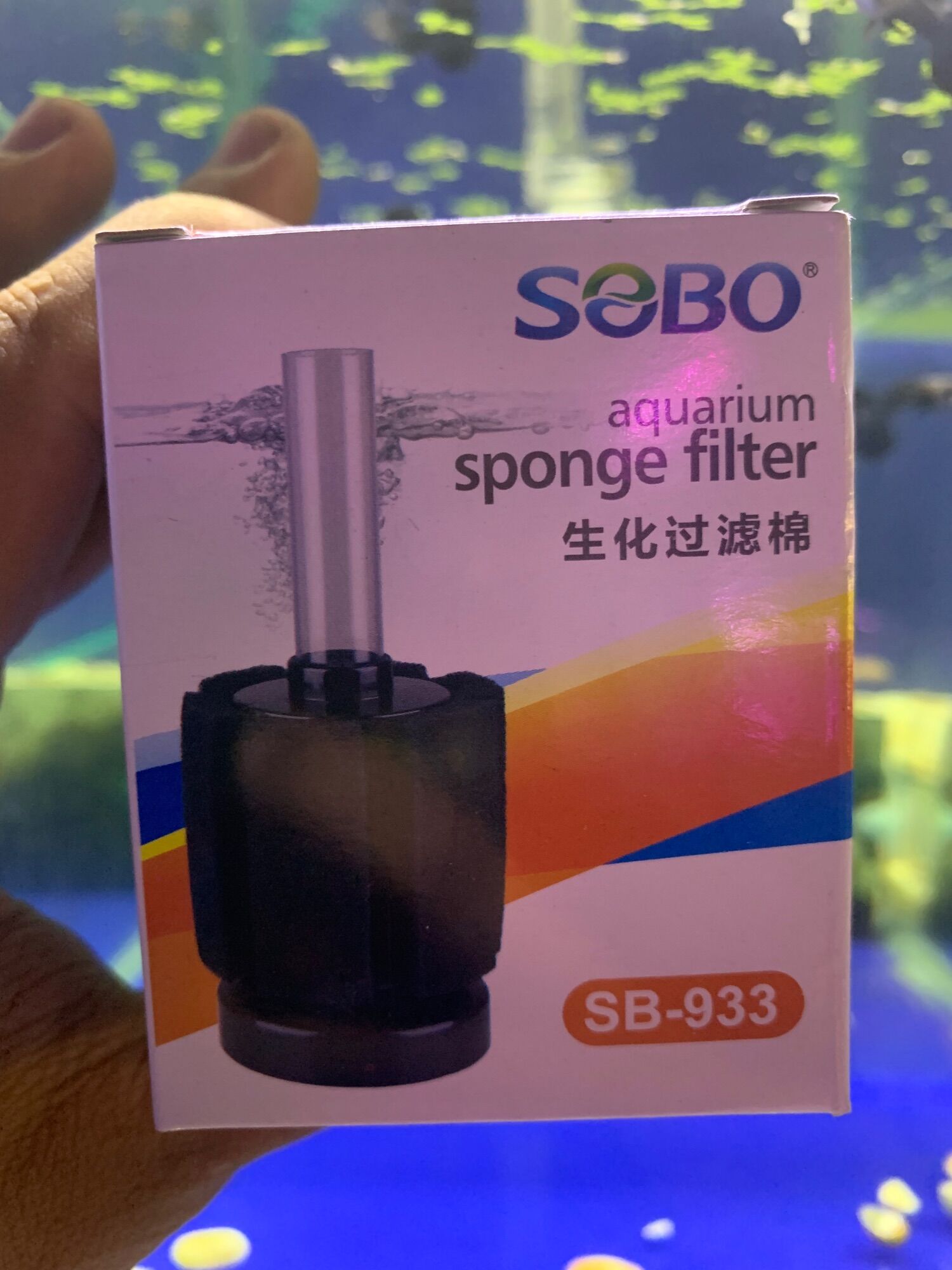 Lọc Bio cho hồ cá