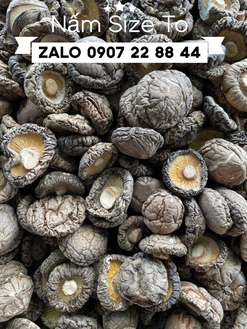 NẤM ĐÔNG CÔ 500GR