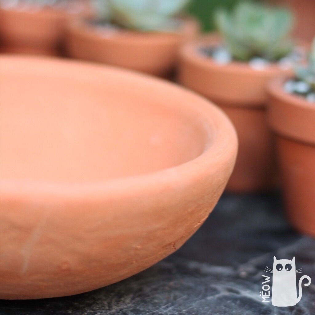 COMBO 5 chậu đất nung Chảo lớn 17x6cm