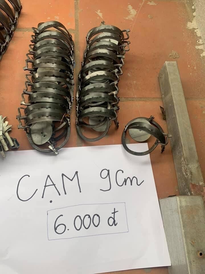 COMBO 10 CẠM BẪY CHUỘT THÔNG MINH K CẦN MỒI